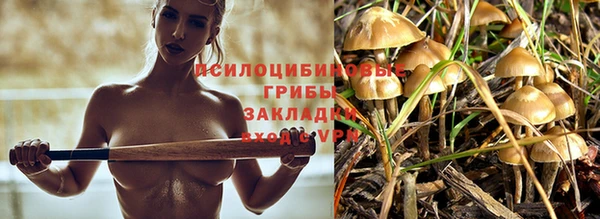 apvp Ладушкин